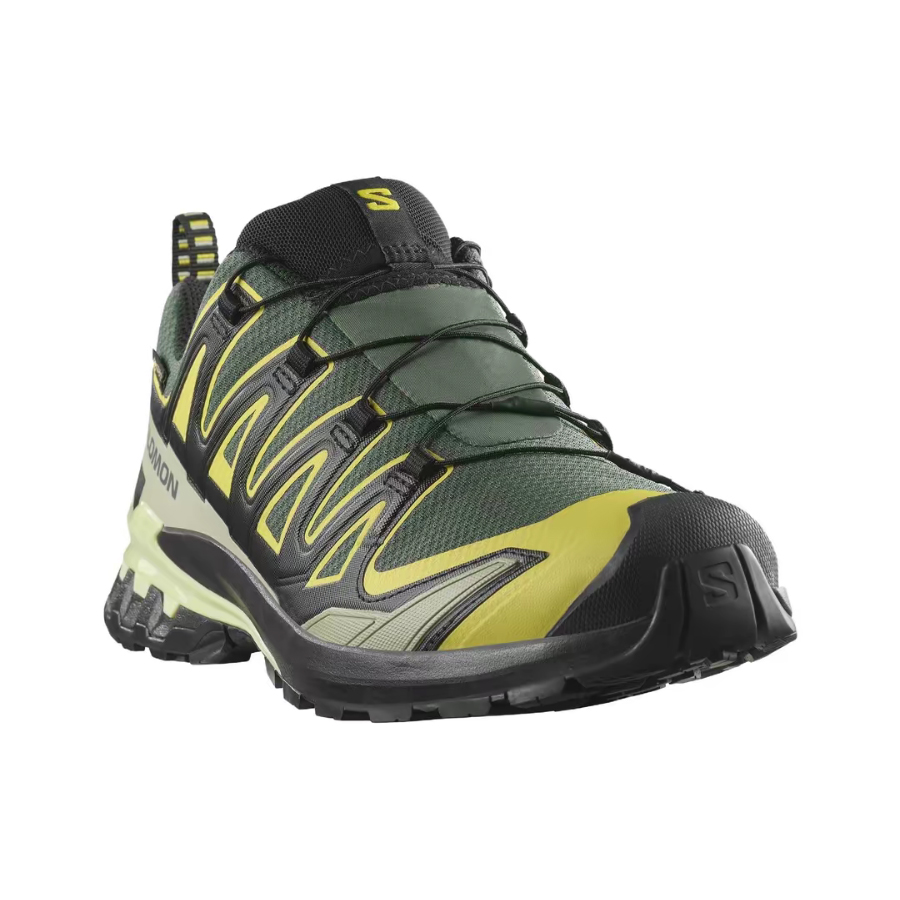 Кроссовки Salomon XA Pro 3D V9 – обзор и цена Salomon Shoes Xa Pro 3D